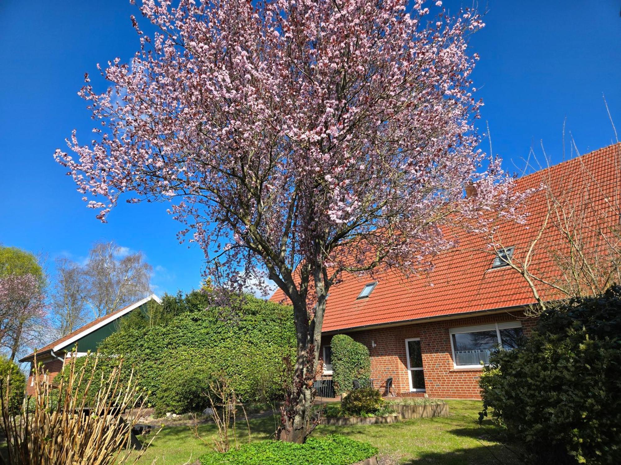 Ferienbauernhof De Slaaphoeve Emlichheim Exterior photo
